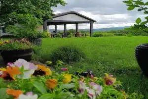 За видами и винами — на Собер Баш! - 2