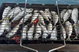 Черноморская рыбалка и пикник в открытом море