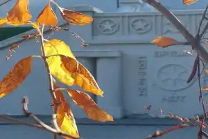 «Как во городе было во Казани...»: адреса Фёдора Шаляпина - 10