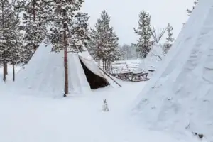 Из Мурманска в деревню саамов - 4