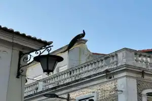Прогулка в Калдаш-да-Раинья с гидом-историком - 7