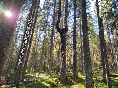 Лешего бояться — Карелию не видать - 9