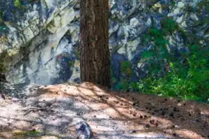 Аршан и купание в горячих источниках: экскурсия в мини-группе - 11