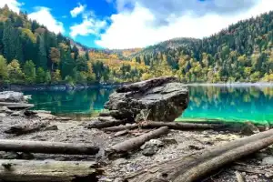 Из Сухума: озеро Рица + Новый Афон - 2