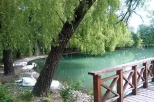 Владикавказ: архитектура, культура, городские истории