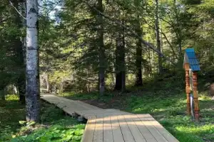 Древнее урочище Куртяево - 15