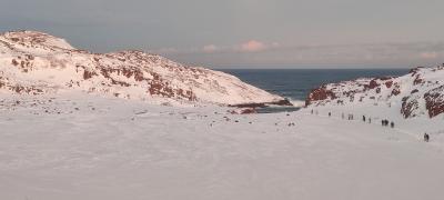 Время Севера: Териберка, киты и морские деликатесы - 15