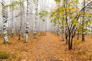 Первая встреча с Кировом - 6