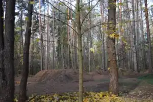 Велоэкскурсия по Гнёздовским курганам - 3