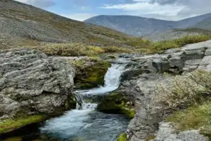 Прогулка в Хибинах + экскурсия по Кировску в мини-группе - 22