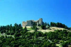Из Аммана в город Джераш и замок Аджлун - 2