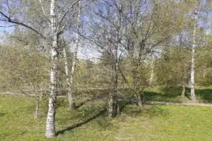 Коломенское: Старый Государев двор (в мини-группе) - 5