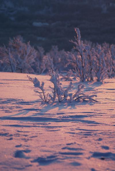Сопка Мишукова — к лучшим видам на Мурманск - 16