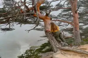 Полуостров Гамова и Кравцовские водопады Полуостров Гамова и Кравцовские водопады