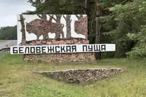 Трансфер из Бреста в Беловежскую пущу и Каменец - 8