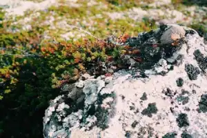 Треккинг по Ловозерью (из Мурманска) - 2