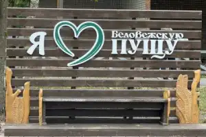 Трансфер из Бреста в Беловежскую пущу и обратно