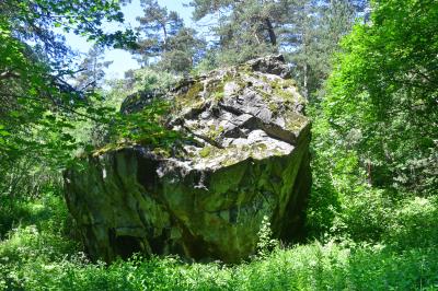 Из Владикавказа — в Цейское ущелье! - 5