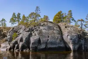 В поисках Ладожской нерпы: авторская прогулка на катере - 7