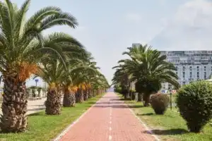 Батуми глазами местных жителей - 4