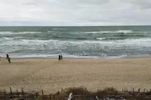 Знаковые места Куршской косы из Зеленоградска