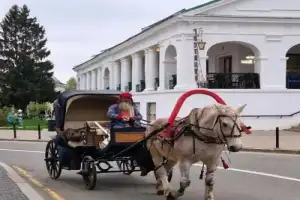 Из Москвы — в Калугу, Оптину пустынь, Шамордино и Козельск - 7