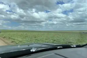 Степные курганы Калмыкии - 4