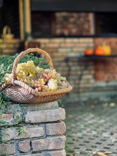 Индивидуальный VIP-тур по Грузии с услугами персонального менеджера, фотографа и мастер-классами - 17