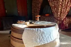 Прогулка по Орлеану и замки Луары - 6