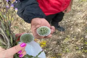 Поход на гору Артаниш - 6
