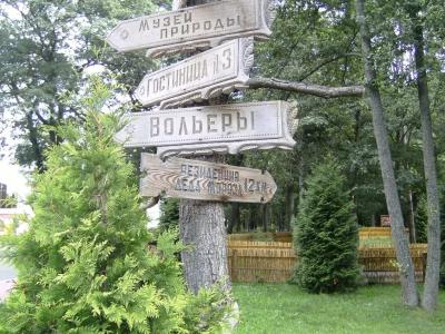 Путешествие в Беловежскую пущу - 5