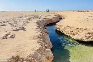 Из Шарм-эль-Шейха — в заповедник Рас-Мохаммед - 14
