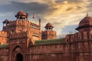 Из аэропорта — по утреннему Дели! - 3