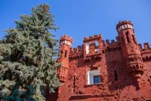 Индивидуальный тур по символам Беларуси: замки, Брест и Беловежская пуща - 7