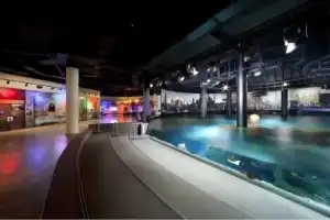 В гости к акулам и скатам: поездка в Istanbul Aquarium (трансфер и билеты включены) - 9