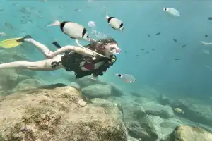 Дайвинг в бухтах Кемера: поездка на лодке из Антальи Дайвинг в бухтах Кемера: поездка на лодке из Антальи