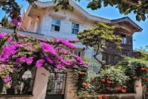 Из Стамбула на Принцевы острова: мир природы и тишины - 16