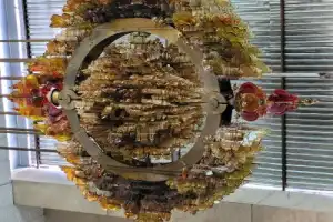 Институт Солнца и Тянь-Шань — на электромобиле из Ташкента - 10