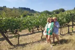 Насладиться Кьянти - 3