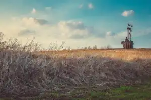 Псков, Изборск и Печоры — на автобусе и пешком - 5