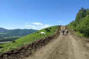 Треккинг по хребту над долиной Катуни (из Манжерока) - 2