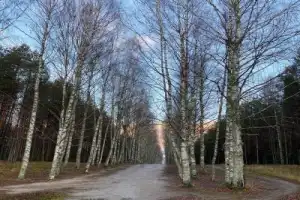 Вкусное путешествие к загадочному озеру Светлояр (на вашем автомобиле) - 22