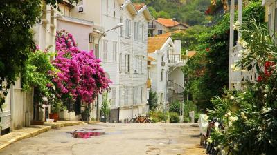 Из Стамбула — на живописные Принцевы острова! Из Стамбула — на живописные Принцевы острова!