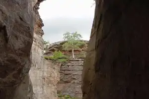 Каменный город — природный лабиринт: поездка из Перми - 10