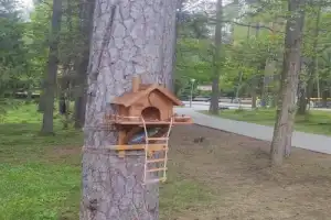 Трансфер из Бреста на экскурсии в Беловежскую пущу - 8