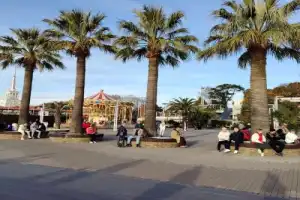 Сочи — яркие краски любимого города - 4