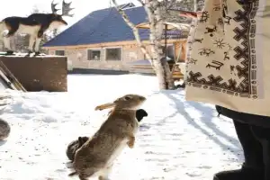 Саамские мотивы: поездка в этнодеревню в окрестностях Ловозера - 4