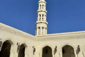 Визитные карточки чарующего Маската - 9