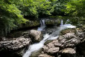 Мартвильский каньон, чёрные пески Уреки и пещера Прометея — из Батуми - 4