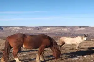 Из Ессентуков — к плато Бермамыт - 7